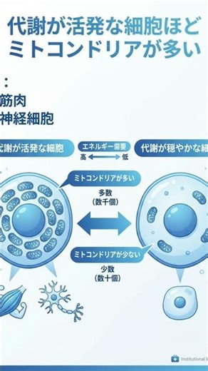 【救急救命士の基礎】人体を構成する要素③｜ミトコンドリアとATP