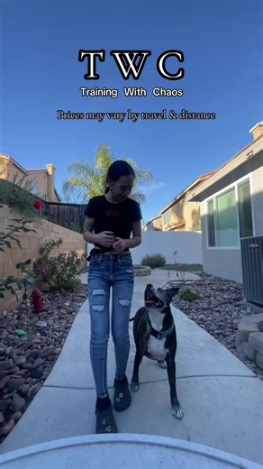 Welcome to my training page @trainingwithchaos cheers to learning more and continue to improve #fyp #trainingwithchaos #foryoupage #socal #dogtraining
