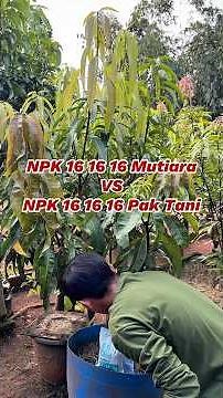 The Difference Between Mutiara NPK Fertilizer and Pak Tani NPK Fertilizer
