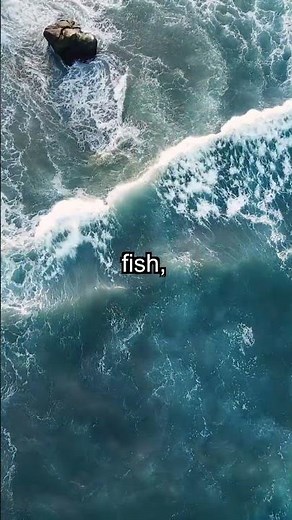 Ocean's Hidden Wonder: Warm-Blooded Fish Thrive Deep