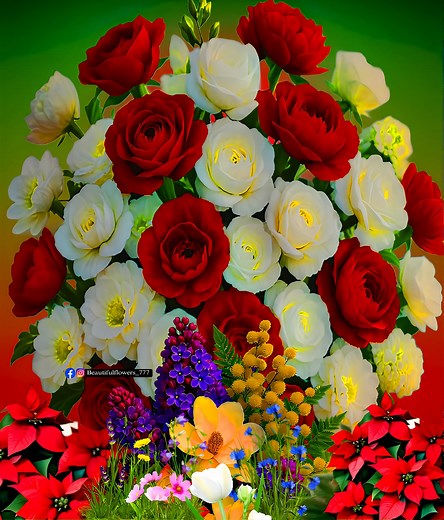 Beautiful Flowers | Beautiful Flowers