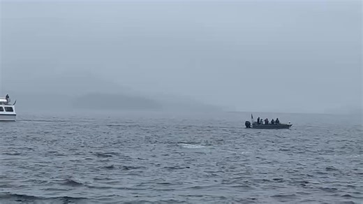 Video is from Jeff,September 11th,2025 tour. | Ketchikan:Tlingit Tours