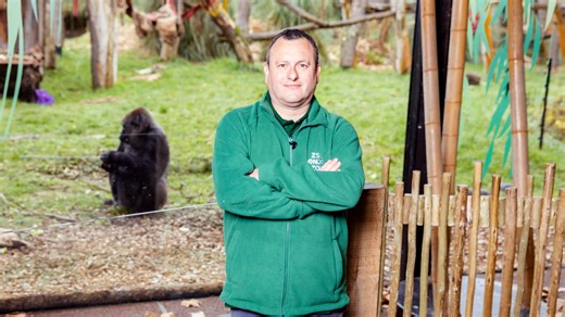 London Zoo boss QUITS amid probe into 'unacceptable workplace behaviour'