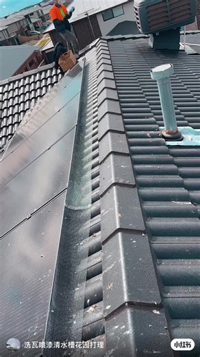 Melbourne roof bird netting