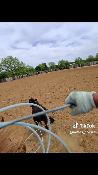 Mastering Team Roping Techniques for Beginners