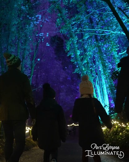 KentOnline on Instagram: "If you're looking for something to do between Christmas and New Year, the Port Lympne Illuminated light trail is the perfect family day out 🎄 The sparkling trail lights up the 600-acre wildlife park with 3D projections, animal holograms, colourful lasers and stunning art installations ✨ Your ticket also includes entry to the park from 2pm, so you can meet Port Lympne's rare and endangered animals before the sun goes down 🐯"