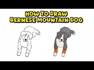 How to Draw Bernese Mountain Dog – Detailed Pet Drawing Masterclass