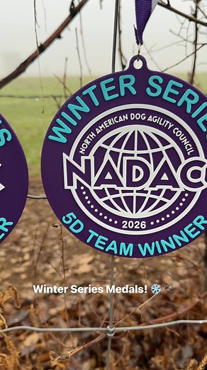 https://www.nadac.com/team-series/ #nadacagility | North American Dog Agility Council (NADAC)