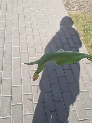 BAWI MN TO JAK SIE KRECI OK?