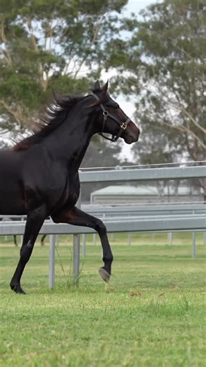 2.3K reactions · 69 shares | CONFEDERATE |The Power of a Perfect...