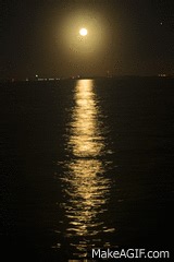 moonrise over teh bay on Make a GIF