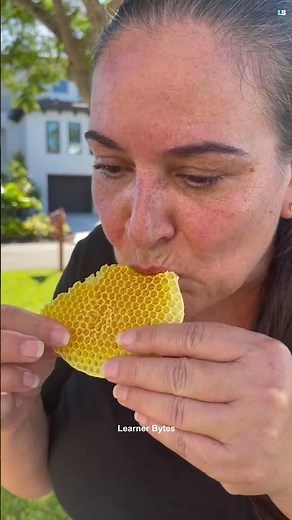 Why Honeycomb Cells Are Always Hexagonal?