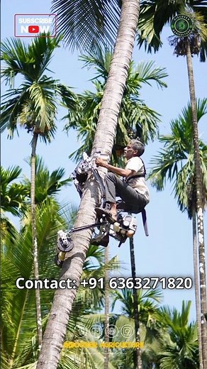 Amazing Coconut Tree Climbing Machine