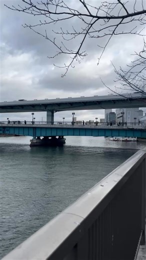 1.7K views · 34 reactions | Osaka, Japan #VisitJapan #TravelJapan #JapanVibes #ExploreJapan #JapanTrip #JapanDiaries #JapanLife #JapanViews #JapanMoments #JapanJourney #TravelInJapan #JapanExplorers #JapanStrolls | Japan 日本 | Facebook