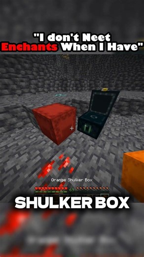 SHULKER THE SOUND 🤡