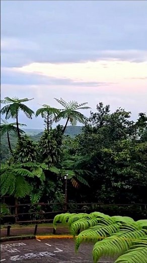 Paysages de Guadeloupe Sur la route des Chutes du Carbet !