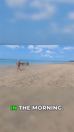 Only in Thailand! Cows on the Beach Morning Walk #travel #travelvlog #thailand