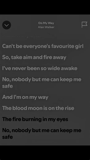 On My Way: Lyrics by Alan Walker