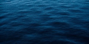 Fish & Game Forecast