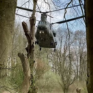 90K views · 662 reactions | Chinook lands in the woods | Ship Time | Facebook