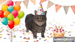 OIIAOIIA CAT Happy Birthday to You | Spinning Cat Uia Meme on Make a GIF