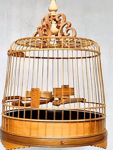 Tutorial Sangkar Burung Bambu yang Kreatif