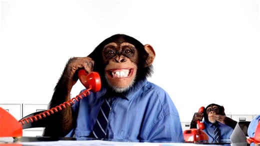 Chimps and Babies Basically Communicate In the Same Way