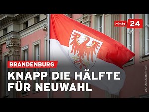 Umfrage in Brandenburg: Neuer Höchstwert für AfD