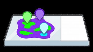 Introduction to Region of Interest Selection