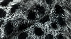 Exploring the unique texture and patterns of black and white spotted fur from an animal close up