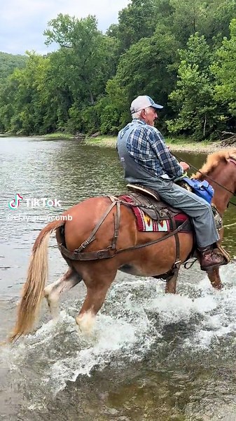 Lets go! This man is 82 years old and still riding big flashy mules. #arkansas #ozarks #flashymule #mule #equine