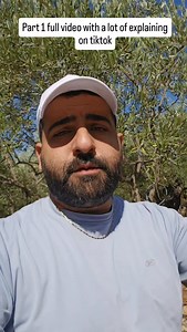 The difference between many kinds of olive and olive oils. . #beekeepers #beeoftiktok #beekeeper #pure #purefarms #pure_farms_lebanon #purefarmscommunity #purefarmslebanon #purefarmsleb #purefarms #purework #pure #organic #organicproduct #organichoney #natural #fresh #tasty #yummy #authentic #delicious_food #lebanon #lebanese #worldwide #fyp #fypage #explore #viral #viralvideo #viraltiktok #olive #oliveoil | Pure Farms