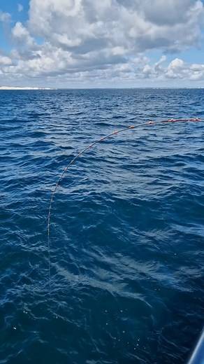 Great to get back to it! #breamfishing | Ocean Runner Charters