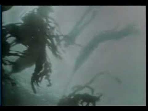 Legend Of Loch Ness (1976)