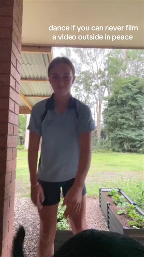 Unbelievable Moments with Dogs