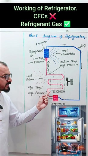 How a Refrigerator Works: Simple Physics Explained