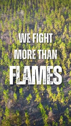 Protecting Forests | Georgia Forestry Commission