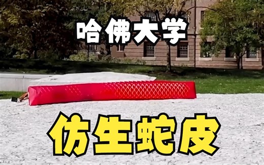 哈佛大学-仿生蛇皮，蛇皮机器人，Snake Skin Robotics，Harvard University，蛇皮软体机器人，软体机器人制作，
