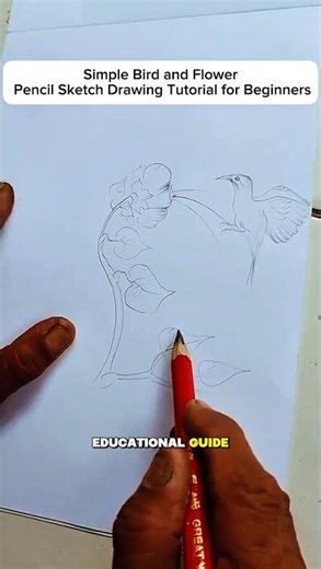Simple Bird and Flower Pencil Sketch Drawing Tutorial for Beginners