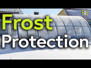 Winter Greenhouse Guide: How I Protect Tender Plants from Frost - Pots & Trowels