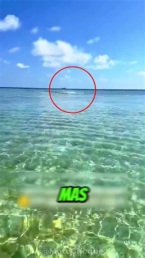 Ataque No Mar Assusta 😳🌊