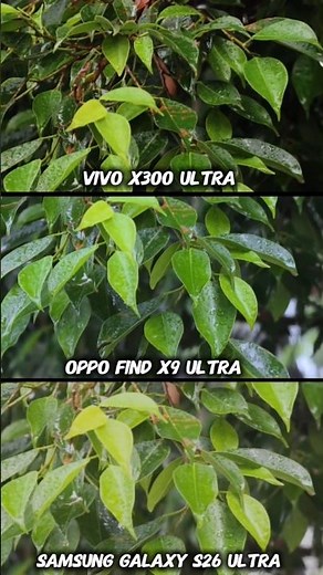Vivo x300 Ultra vs Samsung Galaxy S26 Ultra vs Oppo Find X9 Ultra Photography Test Camera zoom test