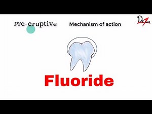 How does fluoride save your teeth? : Fluoride PART I