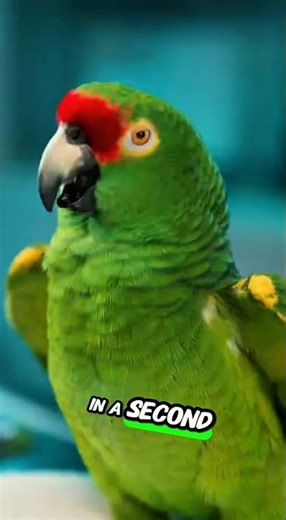 “Doctor Gives an Injection… The Patient’s Reaction Goes Viral 😳💉”#InjectionMoment#ViralShorts#talki