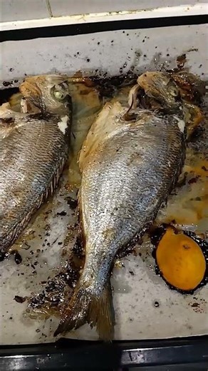 Sea bream cooked in the oven/ Τσιπούρα στο φούρνο - 200 Celsius