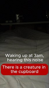 21K views · 115 reactions | Dark creature inside the room at night making strange noise #paranormal | Wout Company | Facebook