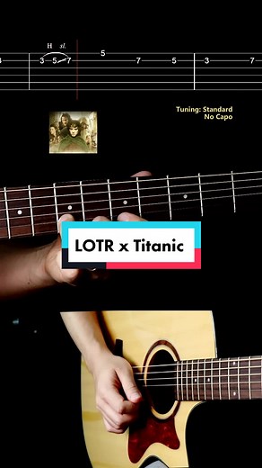 Lord Of The Rings or Titanic? #guitartutorials #guitarcovers #guitartutorialforbegginers #guitartabs