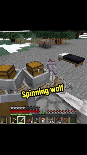 I was playing Minecraft Hardcore in Java 🐺❤️I love how in Java they spin on the rails lol. btw I’m just playing with different edits in Premiere Pro 😂 Happy Friday everyone #minecraft #minecrafttutorial #minecraftbuilding #minecraftmemes #minecrafter