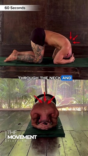 Backbends are intense movements which straighten the spine and open the front of the body