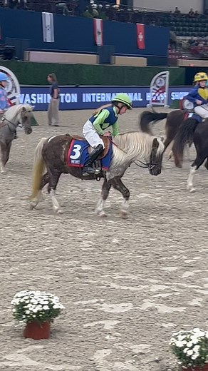 5.2K views · 590 reactions | #wihs Shetland Pony Steeplechase riders and ponies showing their stuff! Thanks to @cosequinhorse for our coverage of the #washingtoninternationalhorseshow including competition reports, photos, videos and more. | Practical Horseman Magazine | Facebook